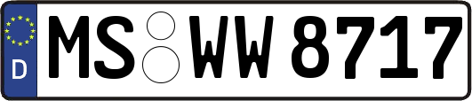 MS-WW8717