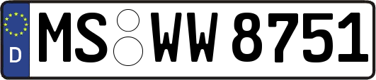 MS-WW8751
