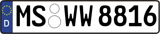 MS-WW8816