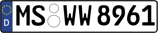 MS-WW8961