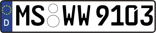 MS-WW9103