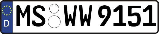 MS-WW9151