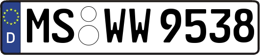 MS-WW9538