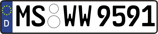 MS-WW9591