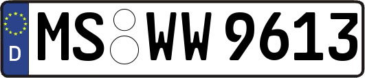 MS-WW9613