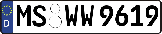 MS-WW9619
