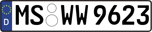 MS-WW9623