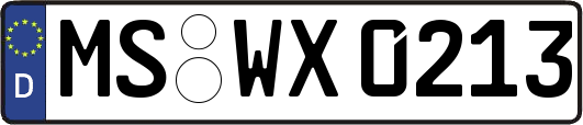 MS-WX0213