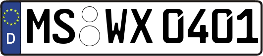 MS-WX0401