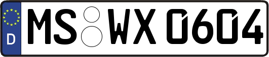 MS-WX0604