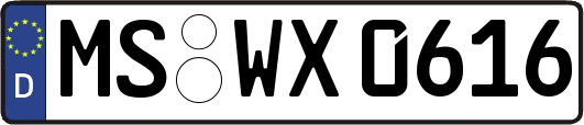 MS-WX0616