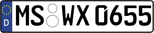 MS-WX0655