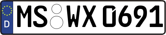 MS-WX0691