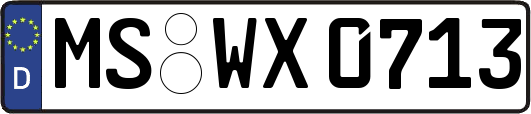 MS-WX0713
