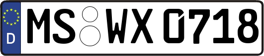 MS-WX0718