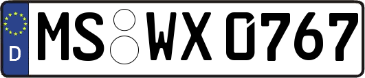 MS-WX0767