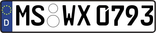 MS-WX0793