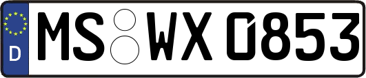 MS-WX0853