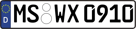 MS-WX0910