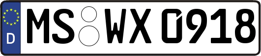 MS-WX0918