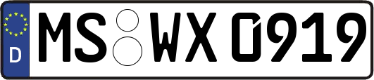 MS-WX0919