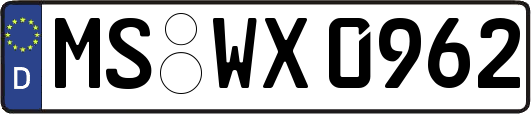 MS-WX0962