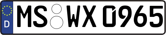 MS-WX0965