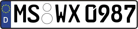 MS-WX0987