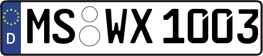 MS-WX1003