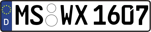 MS-WX1607