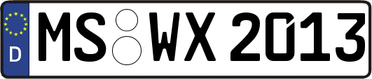 MS-WX2013