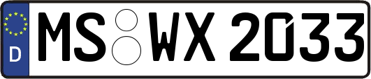 MS-WX2033