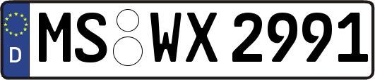 MS-WX2991