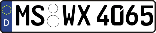 MS-WX4065