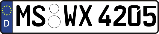 MS-WX4205