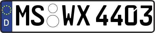 MS-WX4403