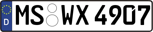 MS-WX4907
