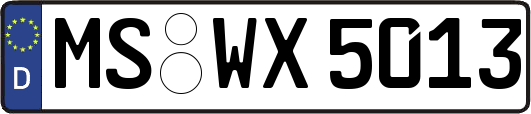 MS-WX5013