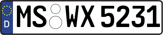 MS-WX5231