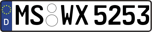 MS-WX5253
