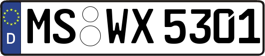 MS-WX5301