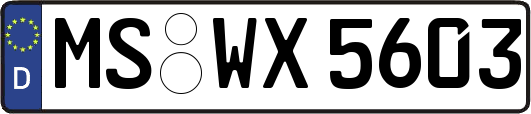 MS-WX5603