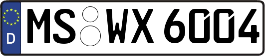 MS-WX6004