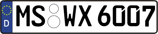 MS-WX6007