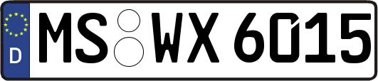 MS-WX6015
