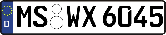 MS-WX6045