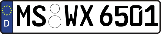 MS-WX6501