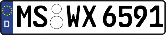 MS-WX6591