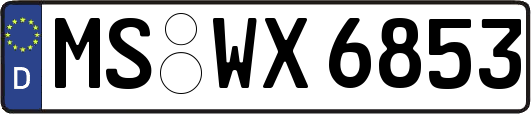MS-WX6853