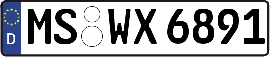 MS-WX6891